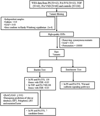 Identification of Rare Variants in Right Ventricular Outflow Tract Obstruction Congenital Heart Disease by Whole-Exome Sequencing